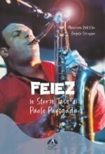 Feiez. le storie tese di paolo panigada. ediz. illustrata